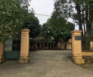 Ảnh minh họa