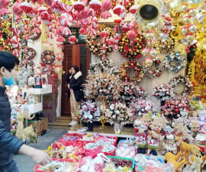 Cây thông Noel và cuộc đua 'ai cao hơn'