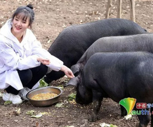 Chàng rể may mắn nhất quả đất vừa cưới được vợ, vừa được nhận quà 'khủng' từ đằng nhà gái