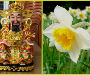 6 loại hoa đánh thức tài lộc, sáng đặt bàn thờ Thần Tài chiều gặp may