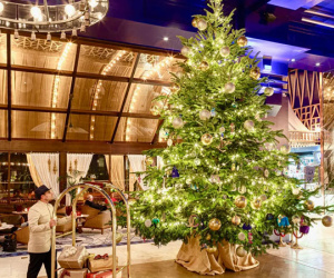 Sắp Noel dựng cây thông có gì là sai? Dân tình: 'Sai là do nguyên liệu đấy!'