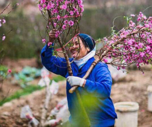 Tháng 2 năm 2020 có bao nhiêu ngày?