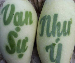 Xoài 'nhả chữ' lần đầu xuất hiện, khách đặt trước cả năm mới có hàng