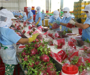 Xuất khẩu nông, lâm, thủy sản đạt mức cao kỷ lục