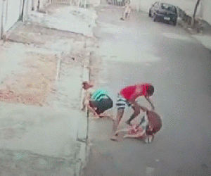 Video: Nam thanh niên liều mình cướp bé trai 4 tuổi khỏi mõm pitbull