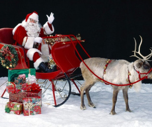 Tại sao ông già Noel dùng tuần lộc kéo xe mà không phải con vật khác?