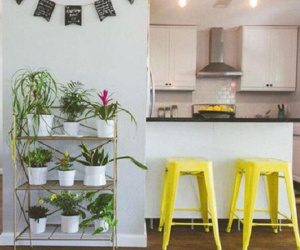 3 lỗi phong thủy nhà ở phải bỏ ngay để năm mới gia đạo yên ấm, tiền tài rủng rỉnh