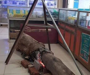 Thực hư thông tin cửa hàng bán điện thoại di động bốc cháy ngùn ngụt do chủ shop đốt củi sưởi ấm trong nhà