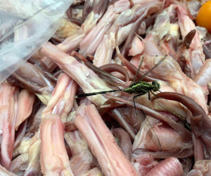 Siêu thị MM Mega Market nói gì về nghi vấn nhập lậu thịt đông lạnh để bán cho khách hàng?