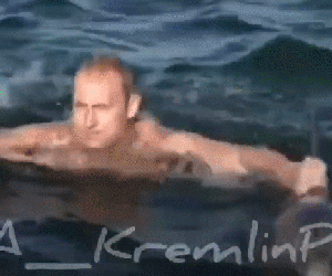 Điện Kremlin công bố video ông Putin cưỡi cá heo vượt sóng