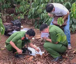 Nghi phạm sát hại bạn gái 9X trong rẫy cà phê chỉ vì không cho mượn tiền