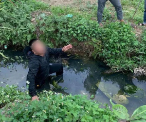 'Sàm sỡ' cô gái giữa đường, nam thanh niên nhận cái kết đắng