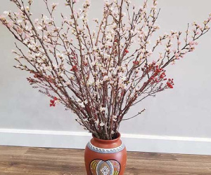 Dân sành chơi chi cả chục triệu mua một bình hoa anh đào Nhật chơi Tết