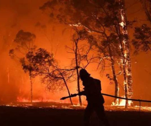 Australia: Mưa đã xuất hiện, thảm họa cháy rừng vẫn có thể quay lại
