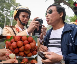 Bộ GTVT lên tiếng về thông tin ăn trái cây có nồng độ cồn cũng bị xử phạt
