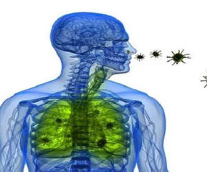 Bộ Y tế theo dõi virus lạ từ Trung Quốc để tránh lây lan sang Việt Nam