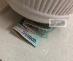 Chồng đặt cây phong thủy trong nhà để 'hút lộc' nhưng tháng nào lương cũng hụt đi 1 triệu, vợ xê dịch cây mới phát hiện bí mật động trời