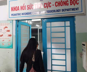 Gần 100 học sinh cấp cứu khi đi chơi: 810 học sinh đều ăn xôi gà