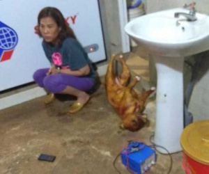 Bắt 3 đối tượng tiêu thụ 14 tấn thịt chó