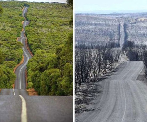Mưa lớn giúp dập tắt nhiều đám cháy ở Australia