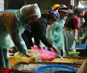 Ngày ông Công ông Táo, chợ cá lớn nhất Hà Nội cháy hàng cá chép từ rạng sáng