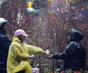 Dự báo thời tiết dịp Tết Nguyên đán: Rét đậm vào ngày mùng 2