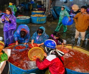 Chợ cá lớn nhất Hà Nội tất bật ngày ông Công ông Táo
