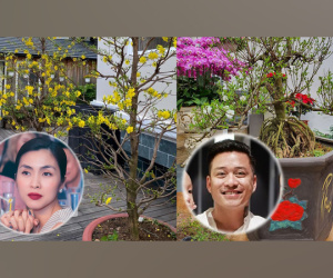 Tăng Thanh Hà khoe mai vàng khắp biệt thự triệu đô, Tuấn Hưng và dàn sao Vbiz hối hả trang trí nhà cửa đón Tết Nguyên đán