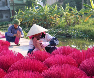 Rực rỡ làng hương tăm duy nhất còn lại ở Hà Nội chuẩn bị cho Tết Nguyên đán 2020