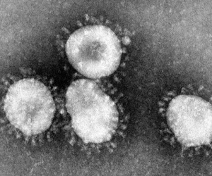 Chuyên gia hàng đầu Trung Quốc đưa nhận định về virus gây bệnh viêm phổi lạ