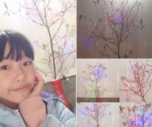 Những người nông dân chong lều canh đào, quất giữa cái lạnh 14 độ C của Hà Nội: 'Như đánh một canh bạc, bại nhiều hơn thắng'