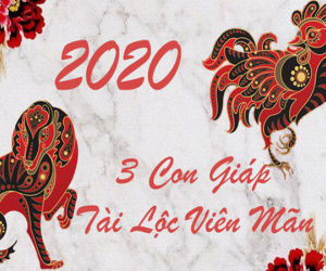 3 con giáp không được 'ngồi mát ăn bát vàng' nhưng được tài lộc tỏa sáng sau những nỗ lực không ngừng trong năm 2020