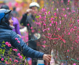 Gió mùa đông bắc gây mưa rào, lạnh sâu đúng đêm giao thừa