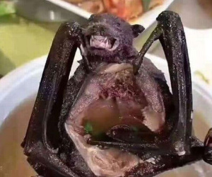 Báo Anh tiết lộ một món ăn 'kinh hoàng' của người Trung Quốc có thể chính là thủ phạm gây bùng phát dịch viêm phổi Vũ Hán