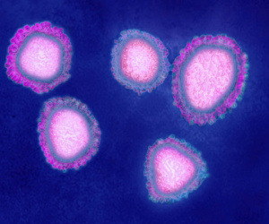Đây là 8 điều quan trọng bạn cần biết về virus Vũ Hán: Nó lây nhiễm thế nào, phòng chống ra sao?