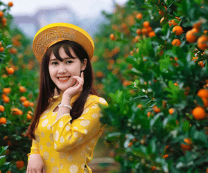 Dự báo mới nhất về thời tiết Tết Nguyên đán Canh Tý 2020