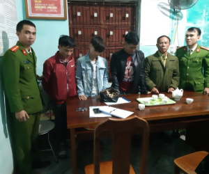 52 người đốt pháo trong đêm giao thừa bị bắt giữ