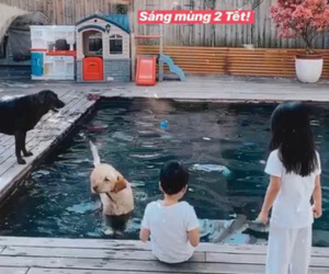 Hà Tăng khoe khoảnh khắc 2 con chơi đùa với thú cưng trong biệt thự triệu đô: Chẳng cần gì lớn lao, Tết bình yên thế này là đủ!