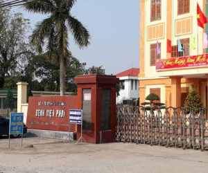 Ảnh minh họa