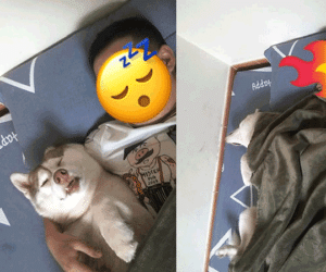 Phẫn nộ thay cho cô vợ trẻ bị 'tuesday' ngang nhiên cướp chồng, nhưng nhìn vào 'ảnh giường chiếu' dân tình lại cười té ghế