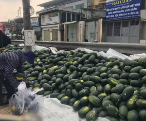 Những thực phẩm rớt giá chỉ còn dưới 7.000 đồng/kg sau Tết