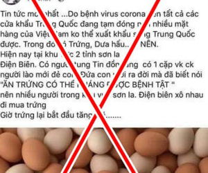 Tung tin ăn trứng luộc có thể thoát nạn diệt vong, người phụ nữ bị phạt 10 triệu đồng