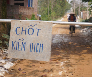 Hà Nội: Tiêu hủy hơn 6.000 con ngan, vịt mắc cúm gia cầm A/H5N6