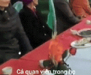 Nhầm hội trường hôn lễ thành tang lễ, ông bác suýt biến đám cưới của cô cháu thành trò đùa