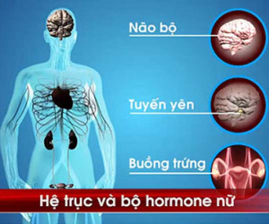 Sextoy: Lợi ít, hại nhiều