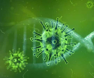 Brazil phát hiện virus chưa từng gặp, Nigeria cảnh báo căn bệnh kỳ lạ