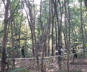 Phát hiện thi thể một người đàn ông trong rừng cao su nghi bị sát hại