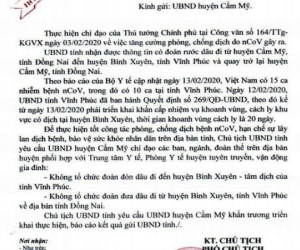 Một đám cưới ở Đồng Nai không tổ chức ra Vĩnh Phúc đón dâu để phòng chống dịch