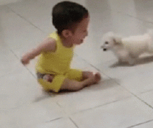 Video: Khoảnh khắc đáng yêu giữa cậu bé khuyết tật và cún con