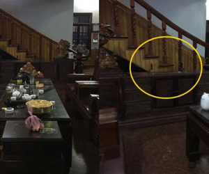 Nhận trông nhà cho bố mẹ nhưng ngủ trưa đến tận 5 giờ chiều, cô gái bị 'trộm đến chơi nhà' nẫng luôn cái tivi